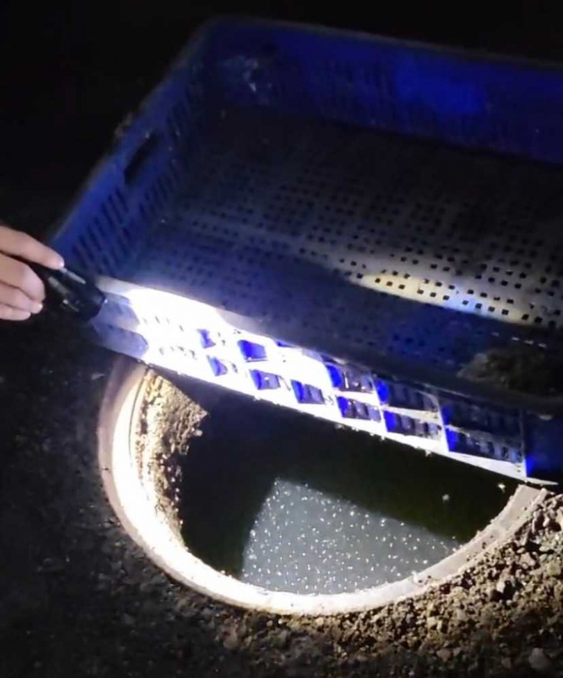 「巡倒清刷」是最有效的除蚊方式，例如一個水盆就可能藏有上萬隻孑孓，但需要社區基層徹底執行才能做到。（圖／台南市登革熱防治中心提供）