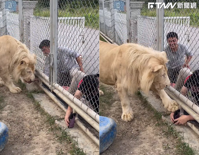獅子用腳掌推了推男子的手，似乎在告訴他不要拍（圖／取自IG@thor_akaranan）