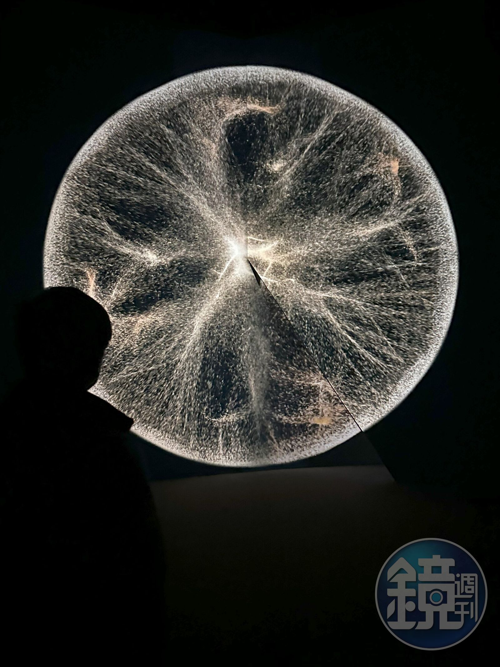 進入場域第一件作品是「CIRCLE（循環）」。